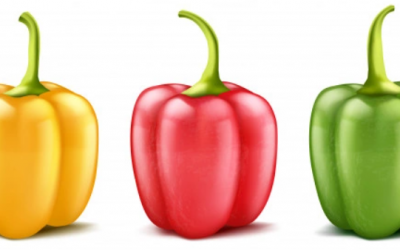 Plan de abonado del pimiento variedad california: ciclo de diciembre a agosto en el hemisferio norte