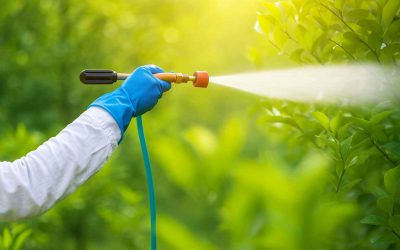 ¿Por qué acidificar los caldos de fumigación? Beneficios y precauciones