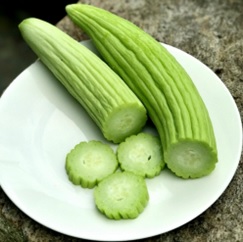 Cultivo del alficoz: el primo refrescante del pepino que triunfa en los huertos mediterráneos