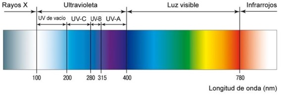 Ultravioleta