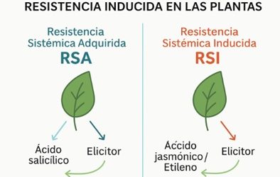 Resistencia inducida en las plantas: defensa natural contra plagas y enfermedades