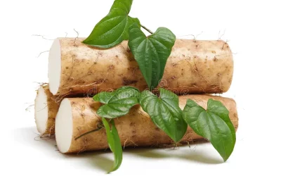 Ñame chino: el superalimento milenario que mejora tu salud